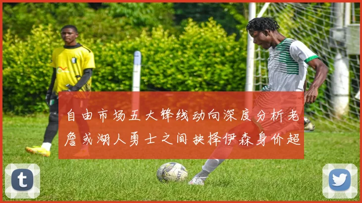 自由市场五大锋线动向深度分析老詹或湖人勇士之间抉择伊森身价超2000万