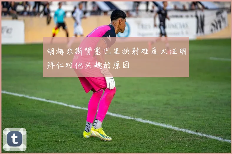 胡梅尔斯赞塞巴里挑射难度大证明拜仁对他兴趣的原因