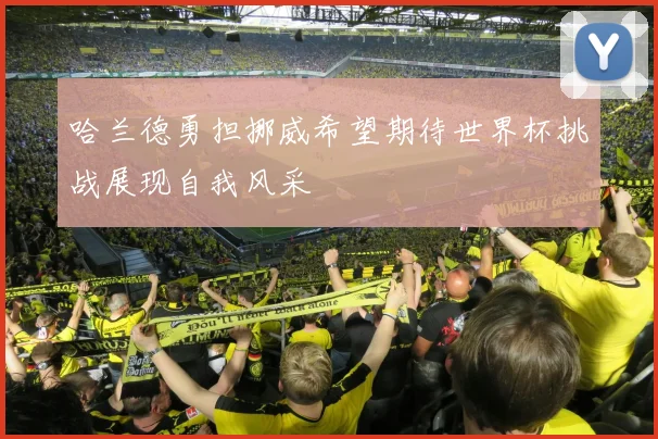 哈兰德勇担挪威希望期待世界杯挑战展现自我风采